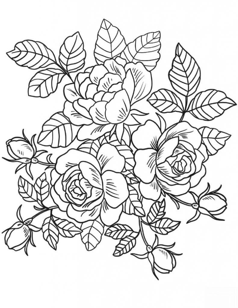 Desenhos De Rosas Para Colorir E Imprimir Muito F Cil Aprender A