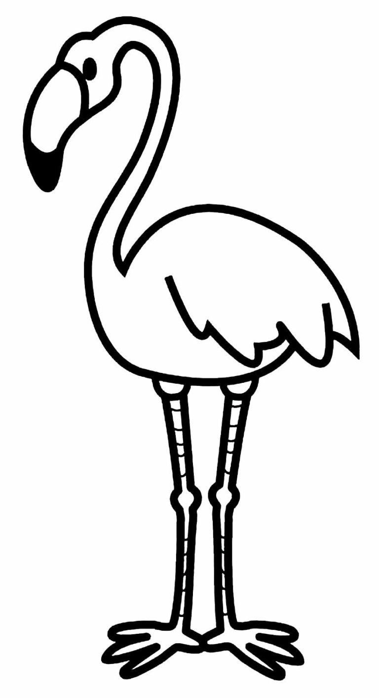 Desenhos De Flamingo Para Colorir E Imprimir Aprender A Desenhar