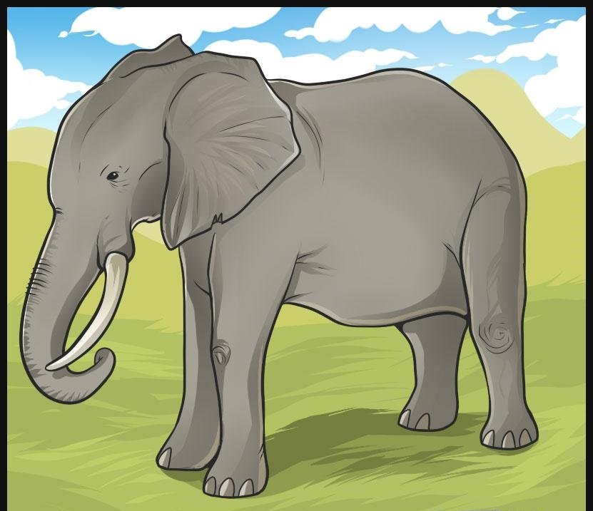 como desenhar um elefante