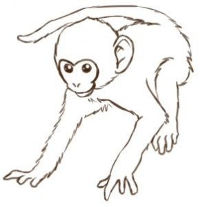 Como Desenhar Um Macaco (Muito Fácil) - Aprender a Desenhar