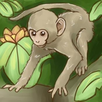 Como desenhar um macaco subindo em uma árvore - Guias fáceis de desenho  passo a passo - Howtos de desenho