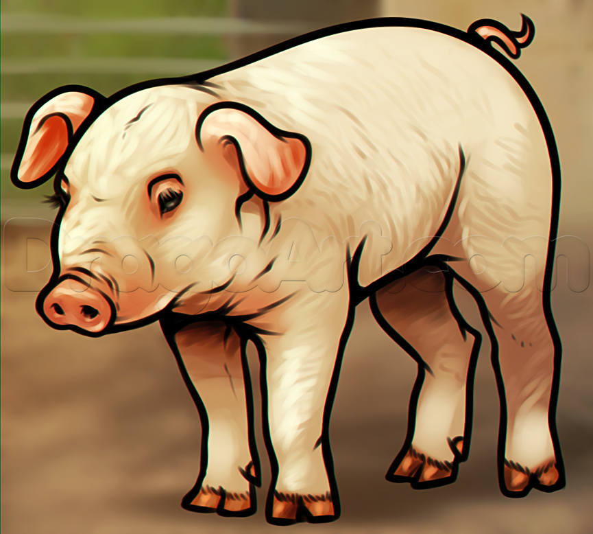 como desenhar um porco
