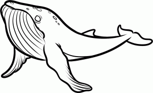 Desenhar, pintar e colorir Como desenhar uma baleia passo a passo 🐳❤️ 