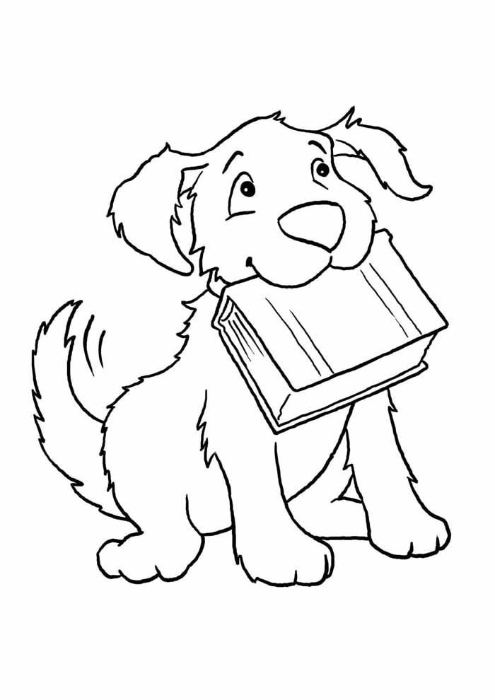 cachorro para colorir com livro na boca