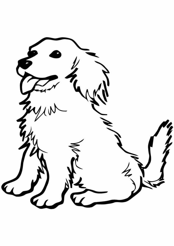 cachorro para colorir com o pelo despenteado