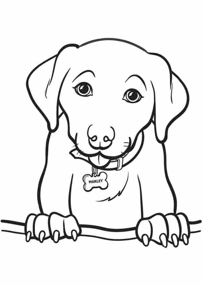 desenho de cachorro para colorir com as patas para cima