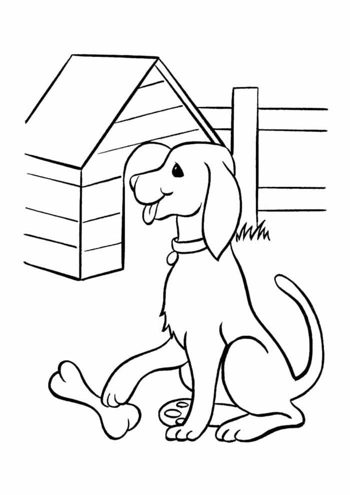 desenho de cachorro para colorir com osso e casa