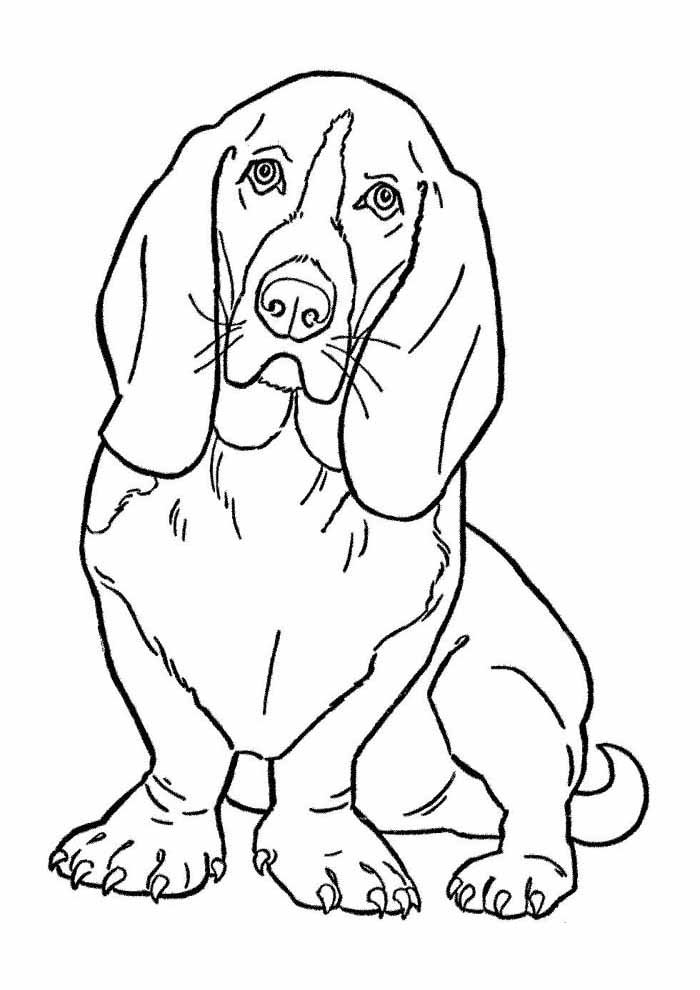 desenho de cachorro para colorir grande