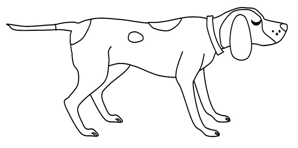 desenhos de cachorros para colorir 10