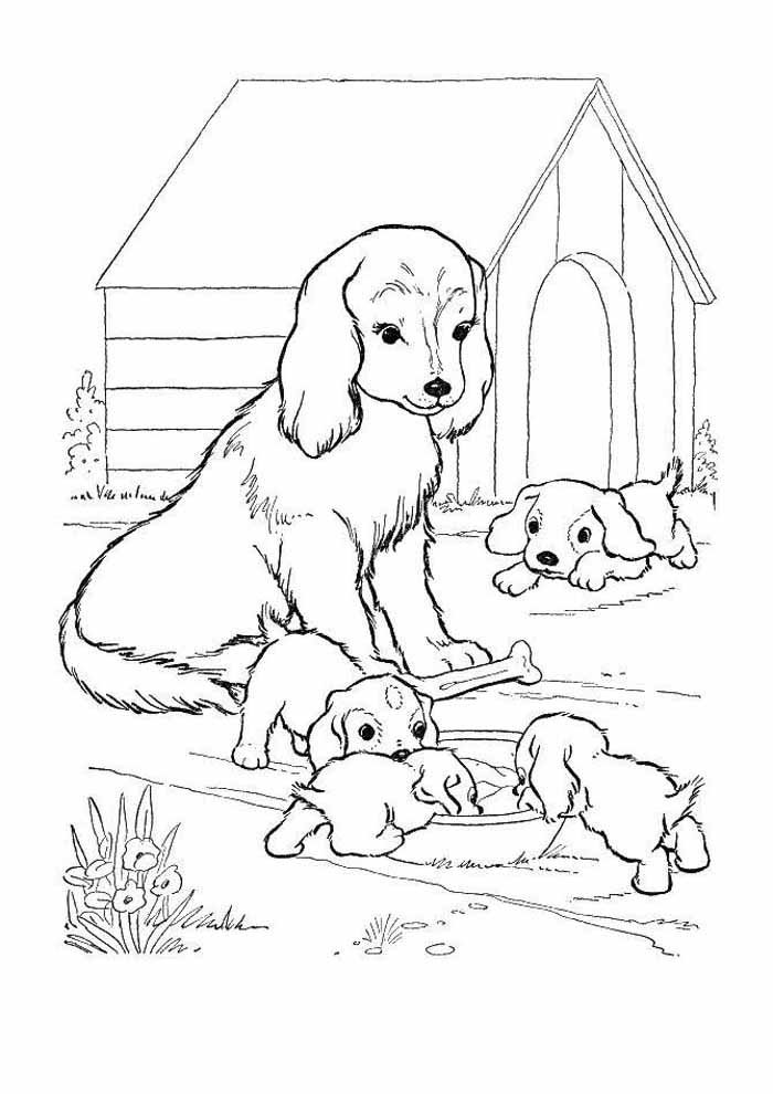 familia de cachorros para colorir