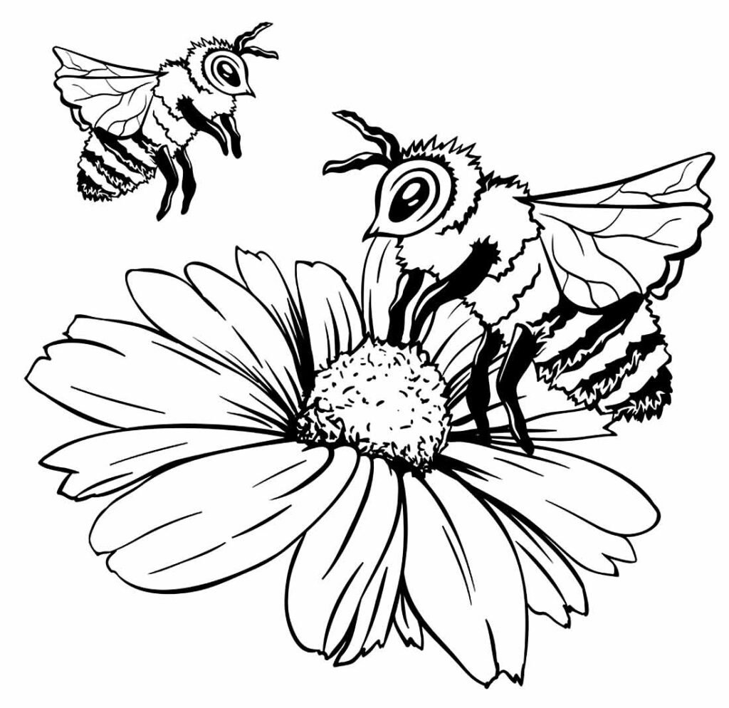 desenhos de abelhinha para colorir 42