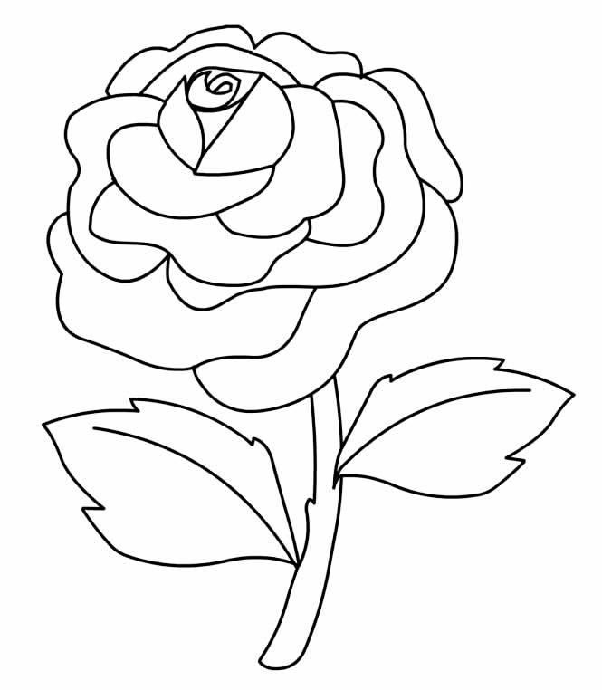 Desenhos de Rosas para Colorir e Imprimir - Muito Fácil - Aprender a  Desenhar