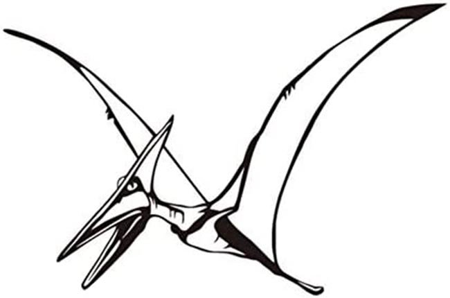 Pterodactilo 2 2