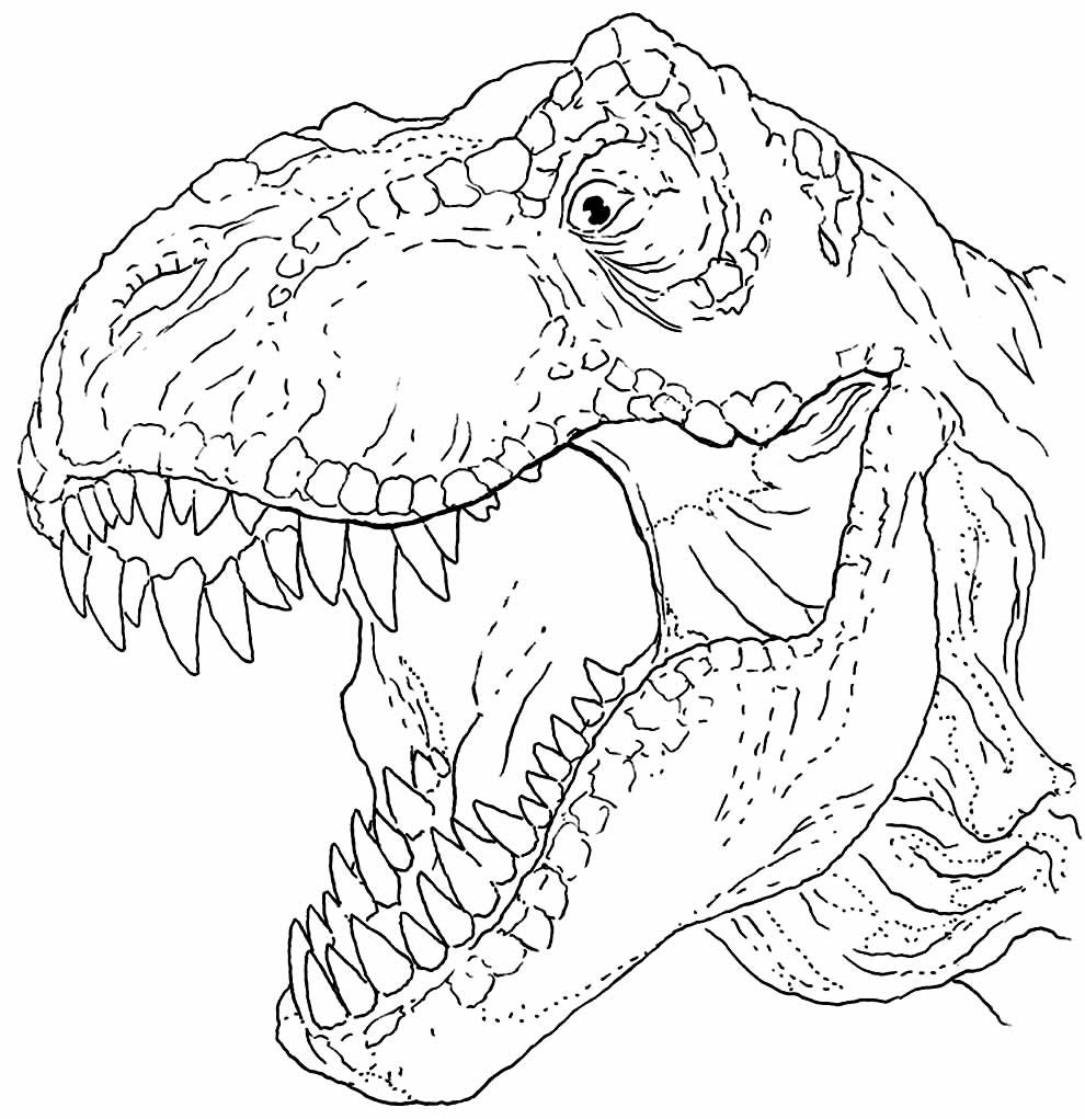 desenho de t rex para pintar e colorir 1