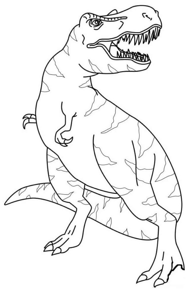 desenho de t rex para pintar e colorir 26