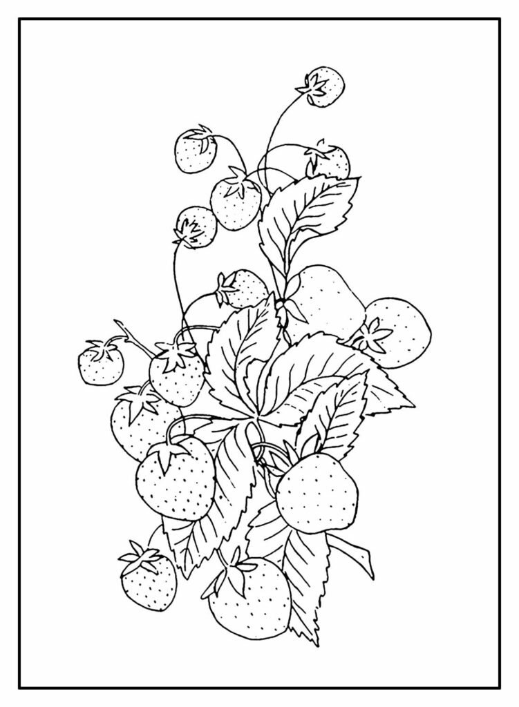 desenhos de morango para colorir 9