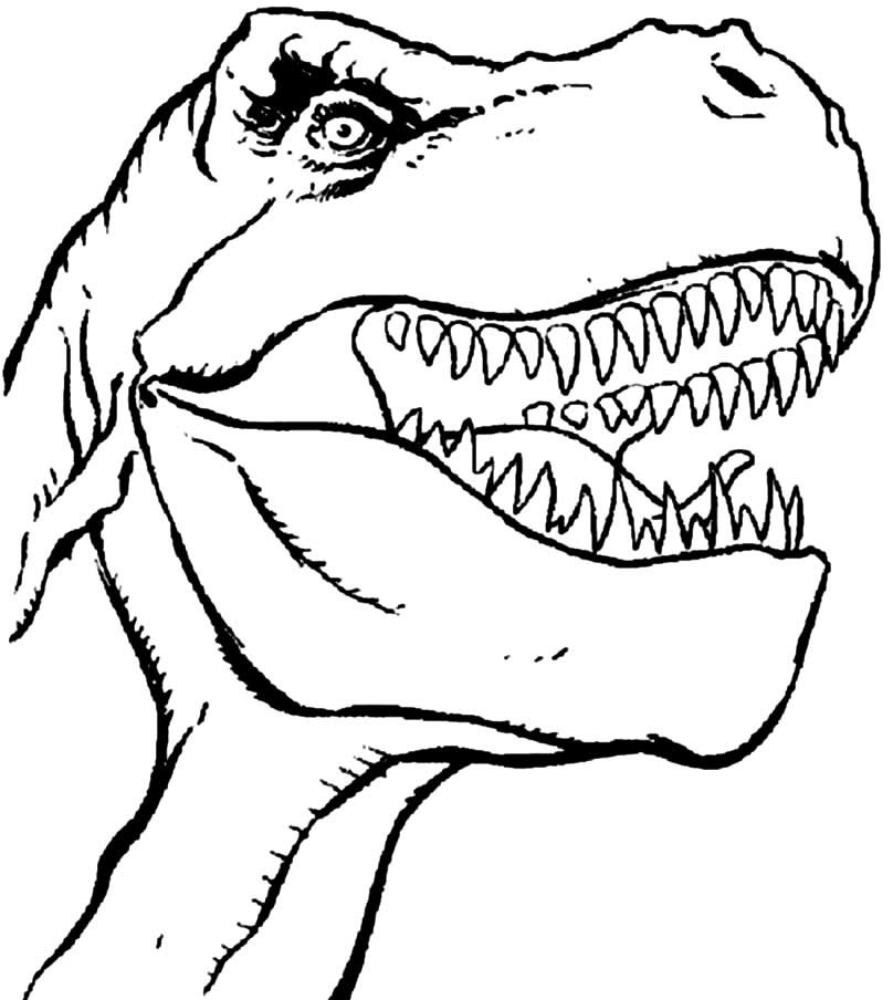 desenhos de t rex para colorir 15