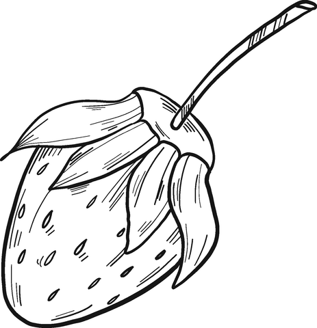 strawberry 6 coloring page