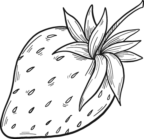 strawberry coloring page