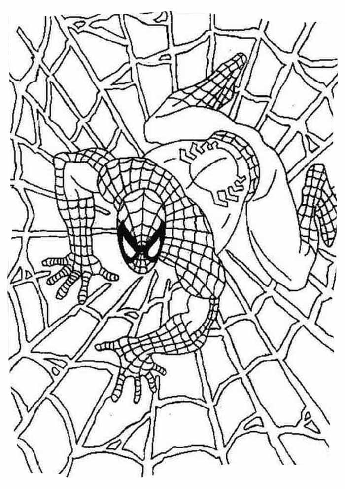 super herois para colorir homem aranha teia