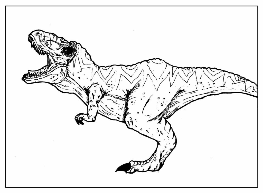 t rex colorir desenho 10