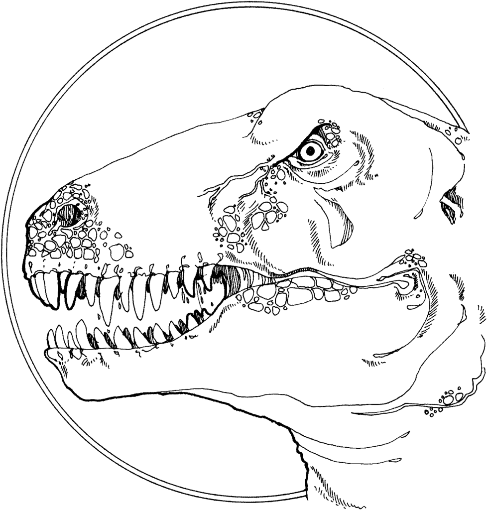 tyrannosaurus head 1 coloring page