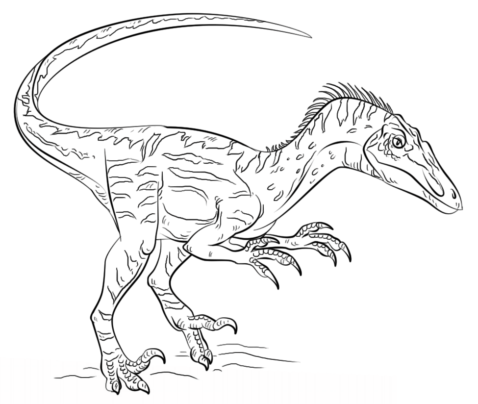 velociraptor coloring page