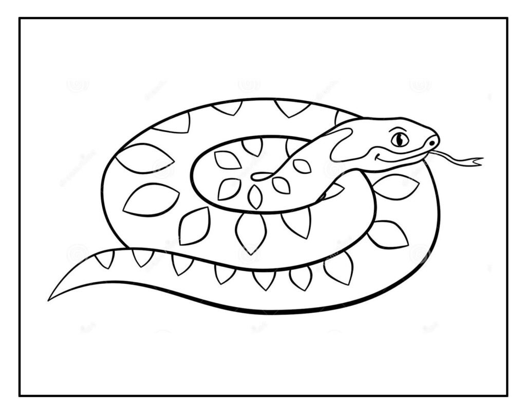 desenho cobra para pintar 13