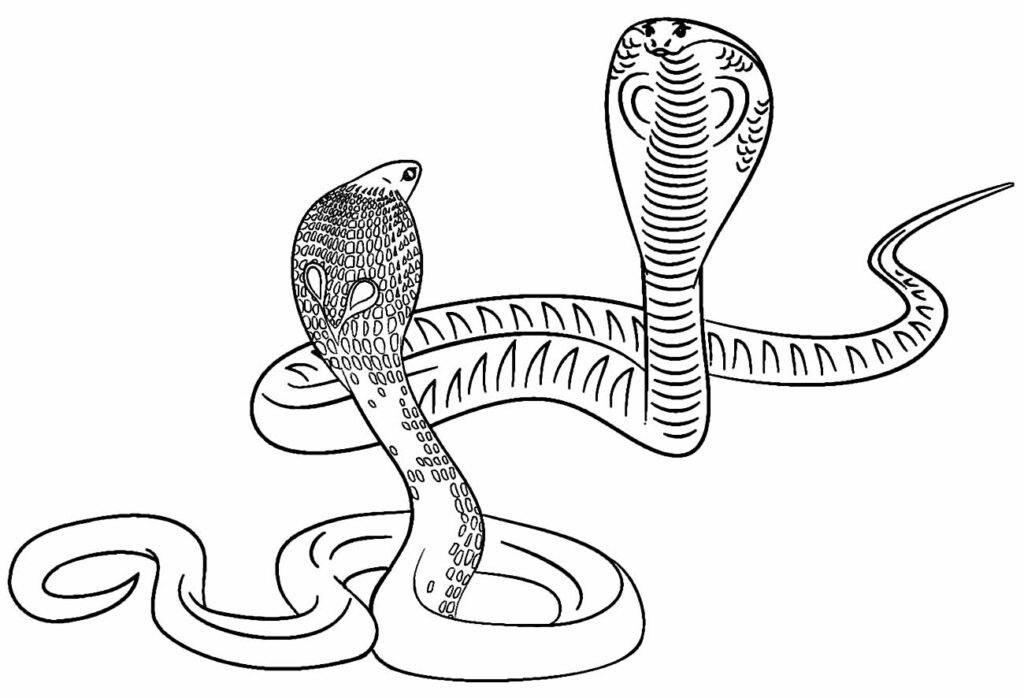 desenho de cobra 9