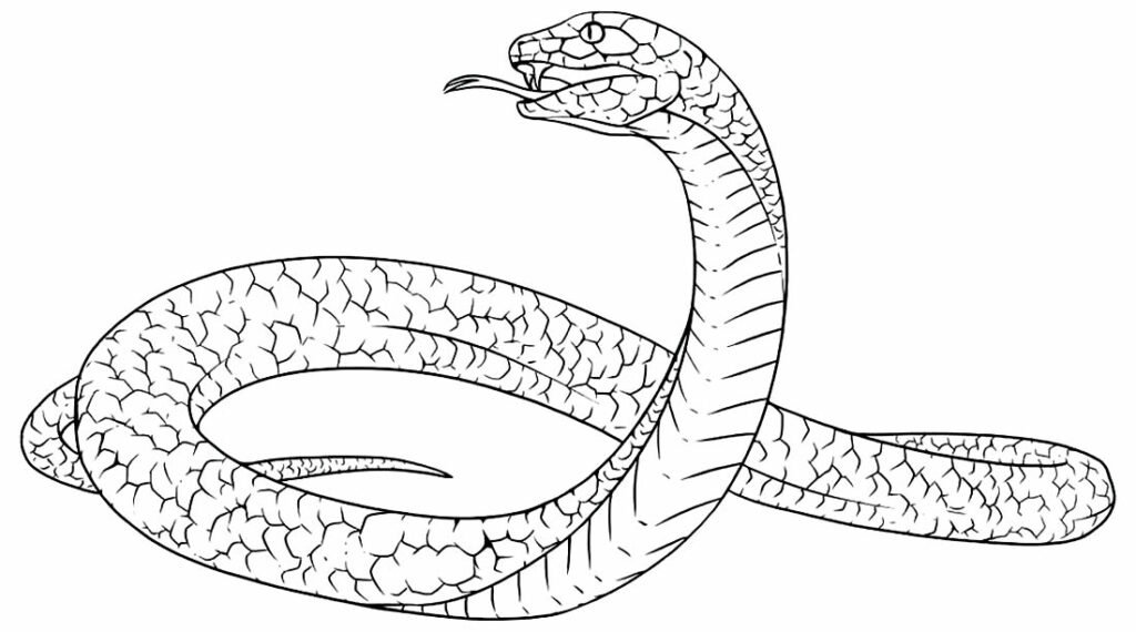 desenho de cobra para pintar e colorir 1