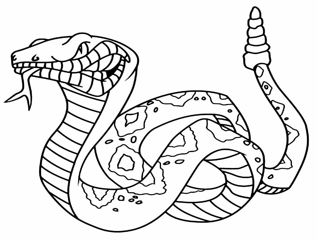 desenho de cobra para pintar e colorir 4