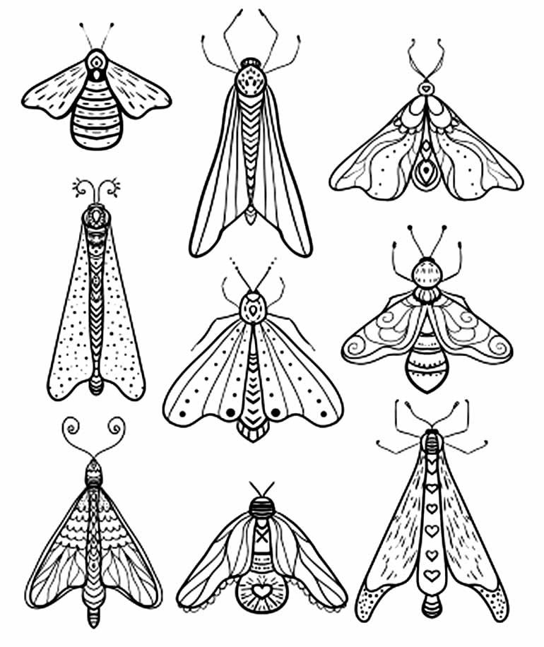 desenho de inseto 5