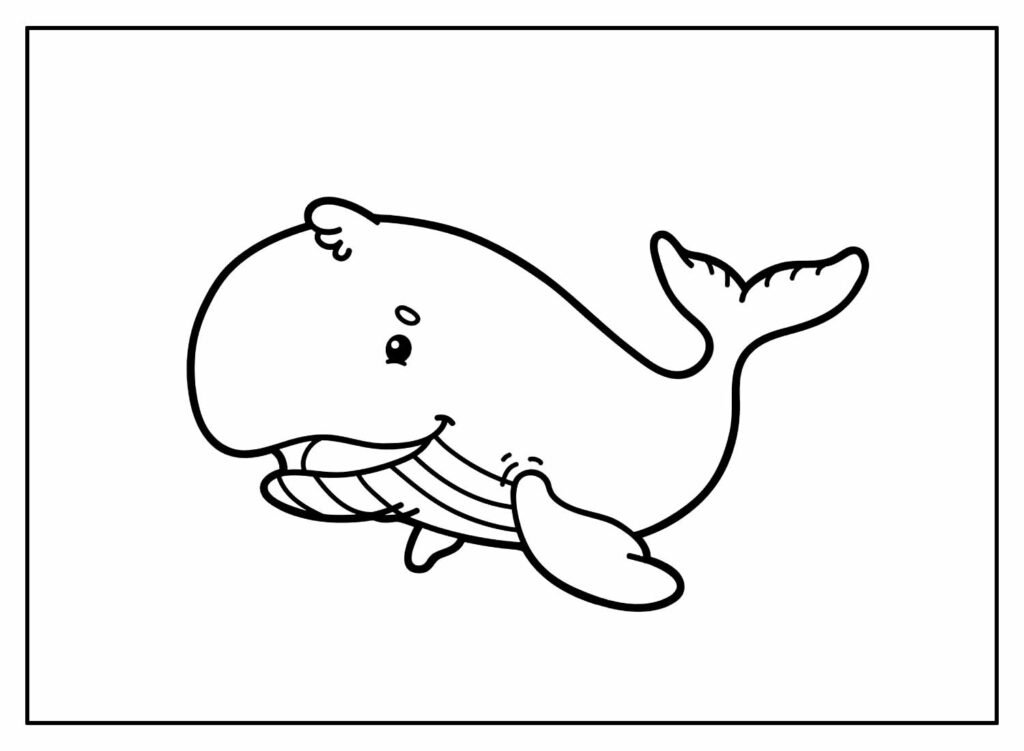 página para colorir de baleia jubarte ilustração colorida 7528179 Vetor no  Vecteezy