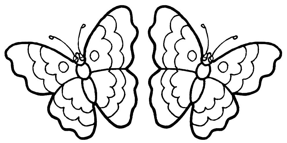 desenhos de borboletas 13