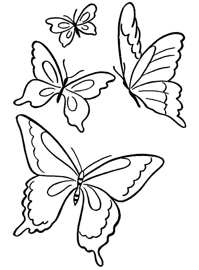 desenhos de borboletas 2