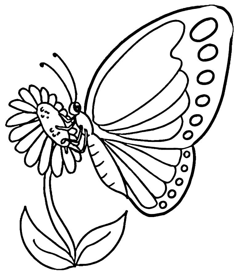desenhos de borboletas 9