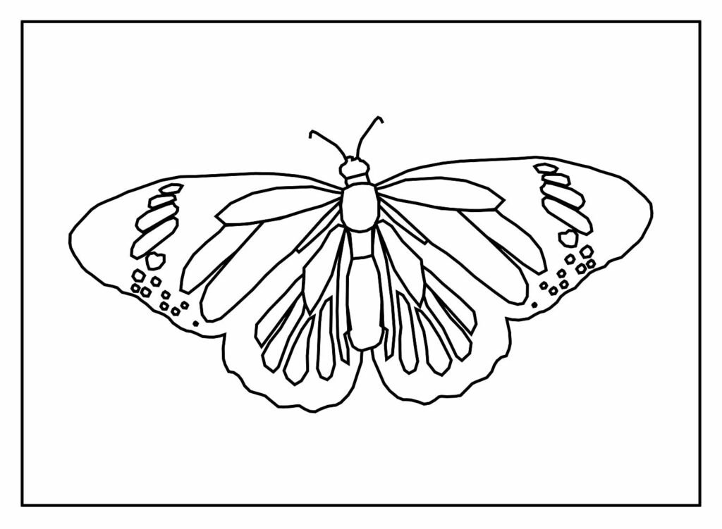 desenhos de borboletas para pintar e colorir 12