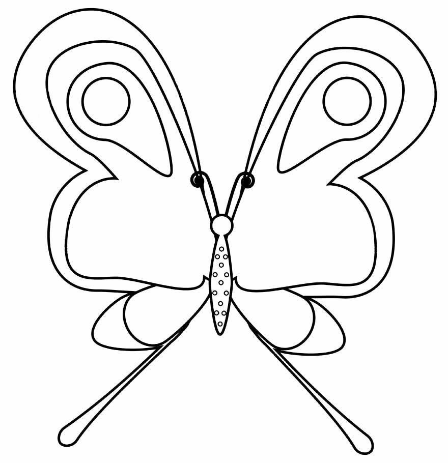 desenhos de borboletas para pintar e colorir 25