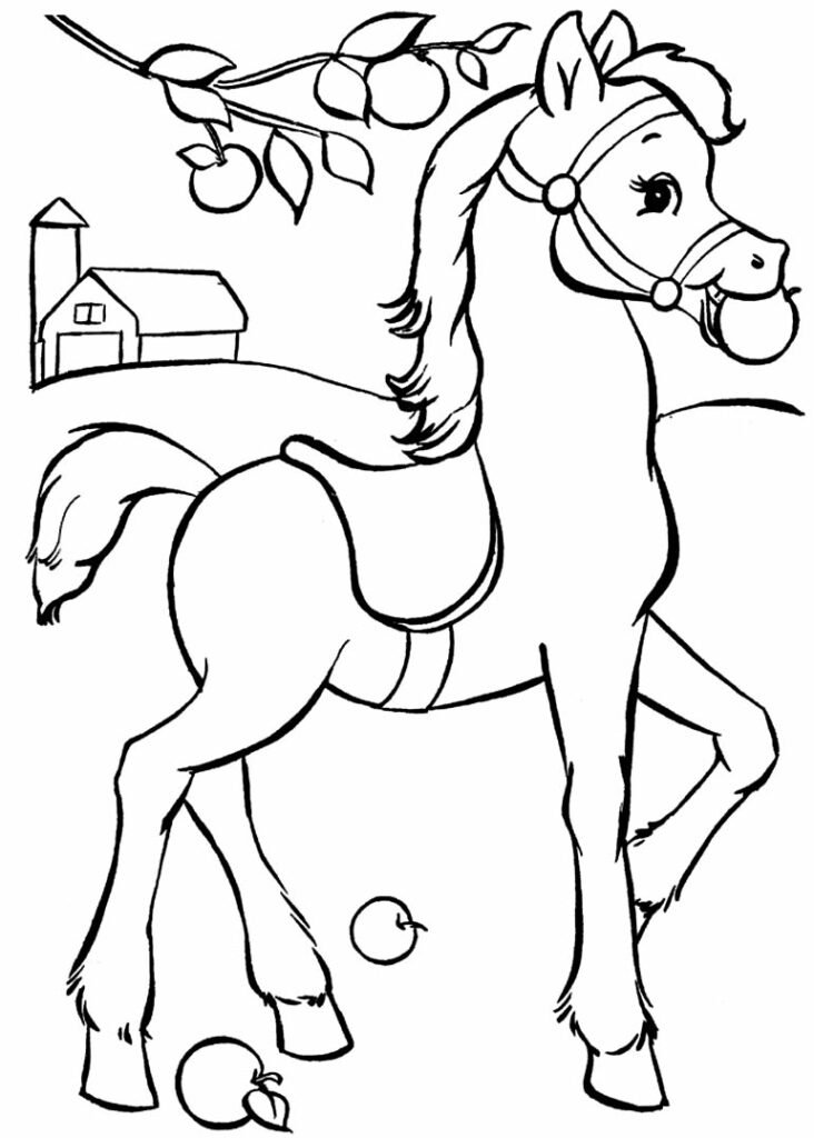 desenhos de cavalo para colorir 1