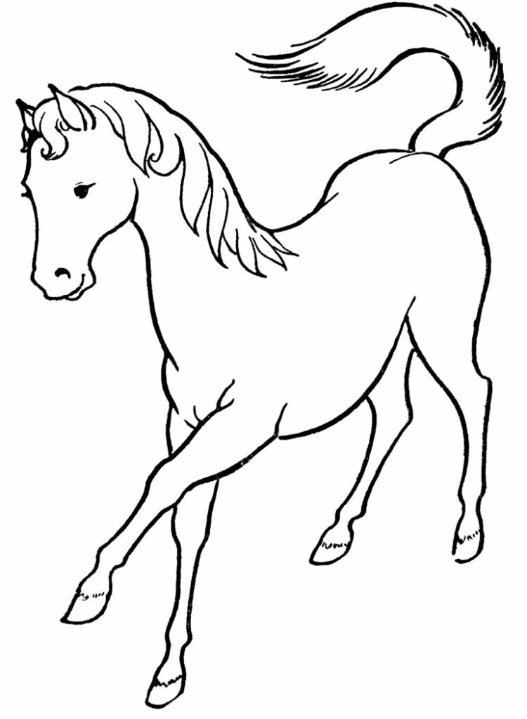 desenhos de cavalo para colorir 10