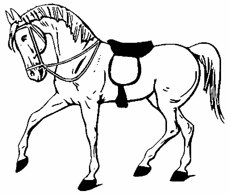 desenhos de cavalo para colorir 3