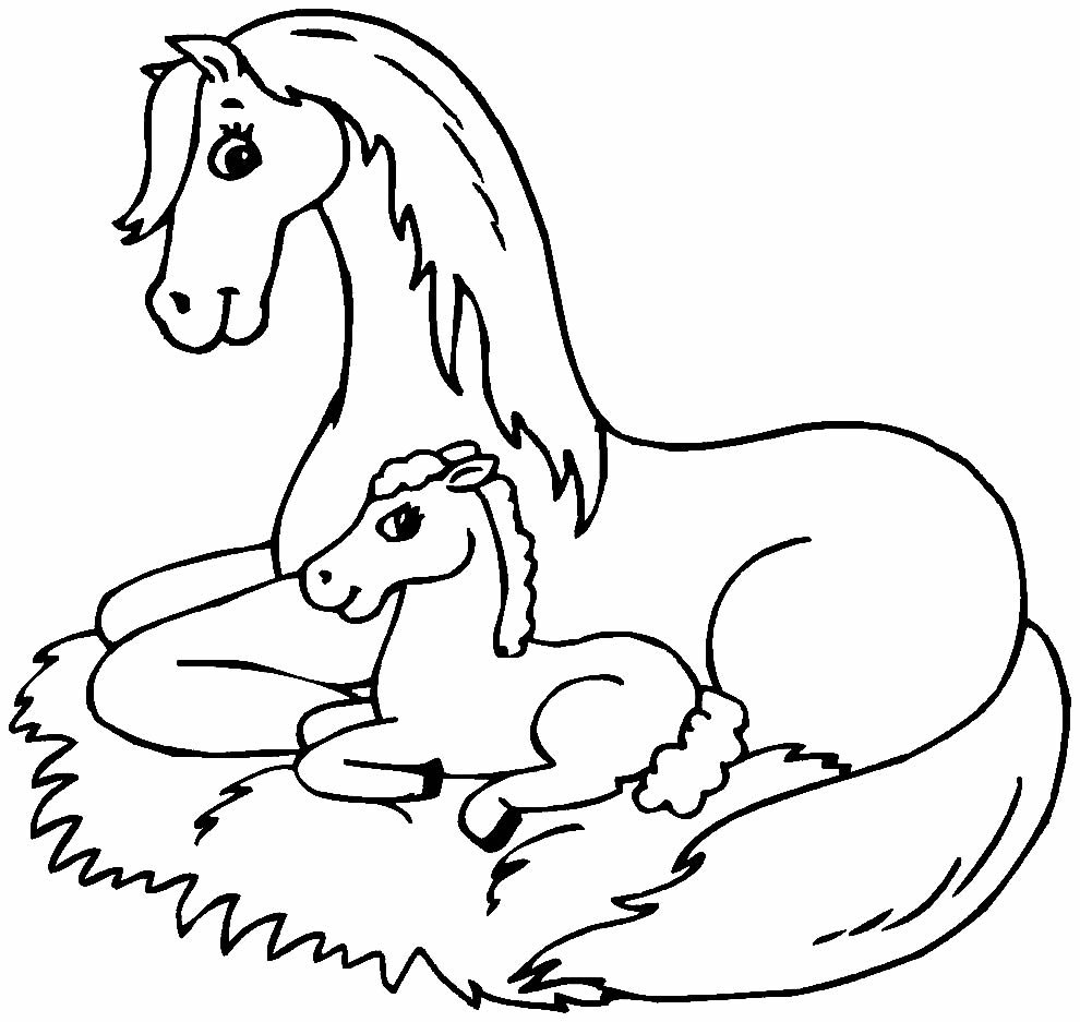 desenhos de cavalo para colorir 6