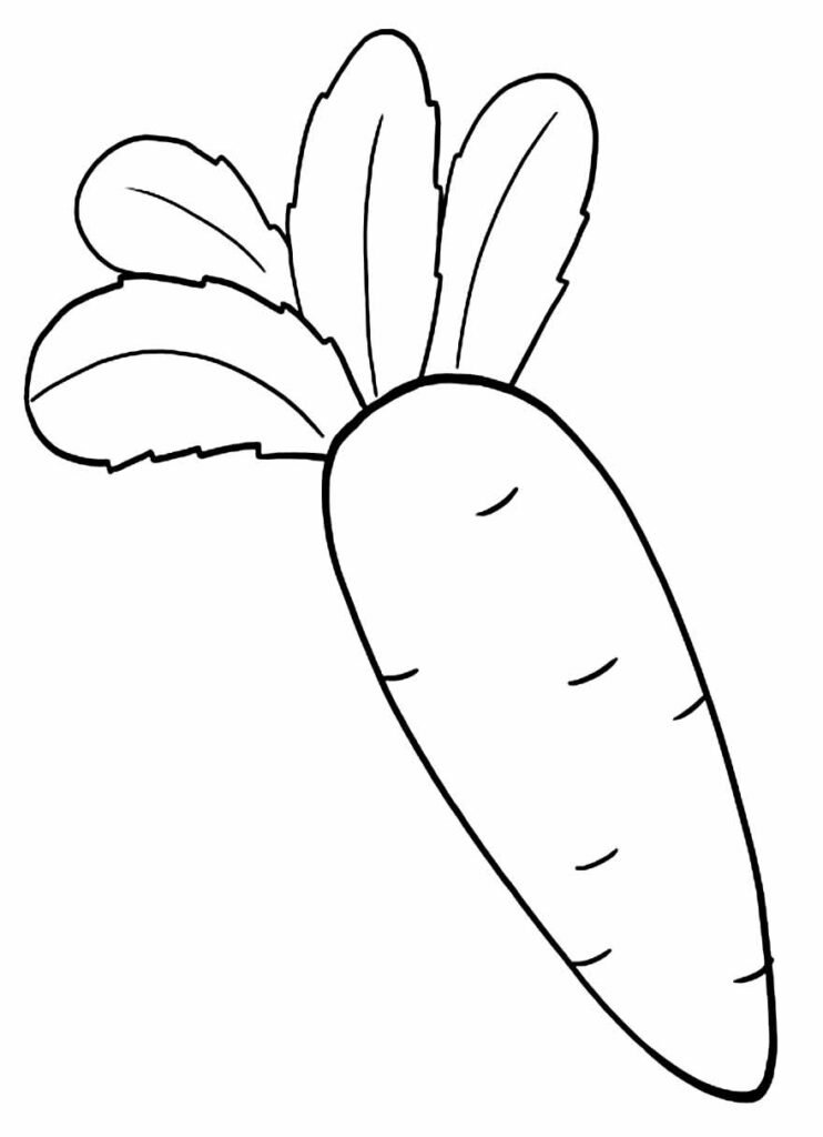 desenhos de cenoura para colorir 10