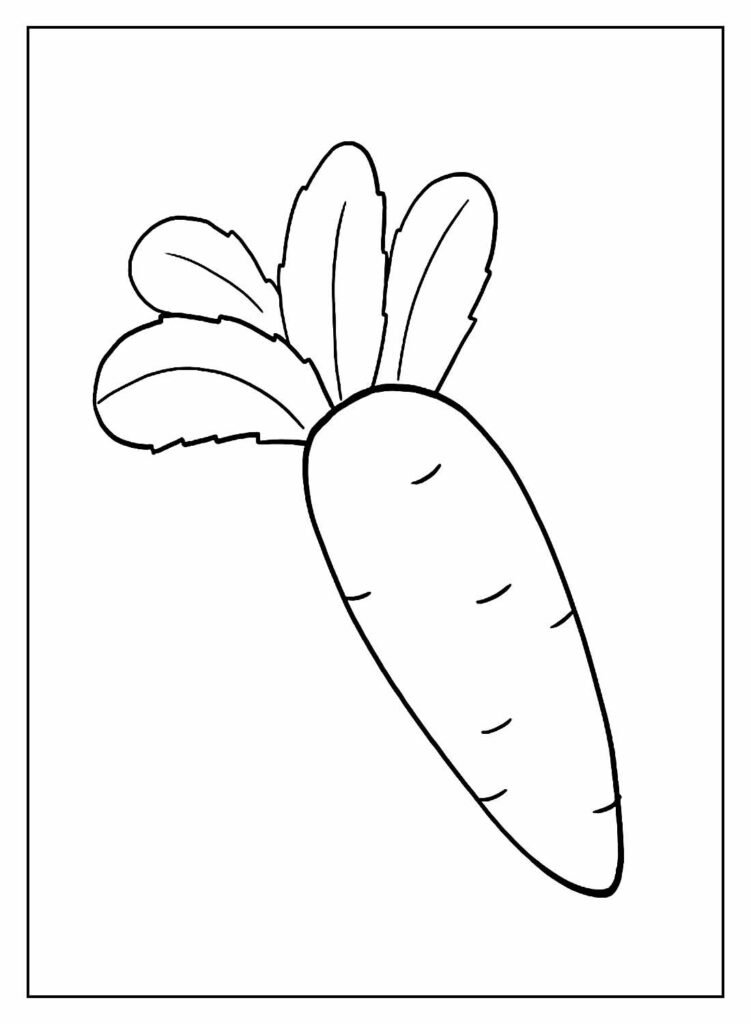 desenhos de cenoura para colorir 11