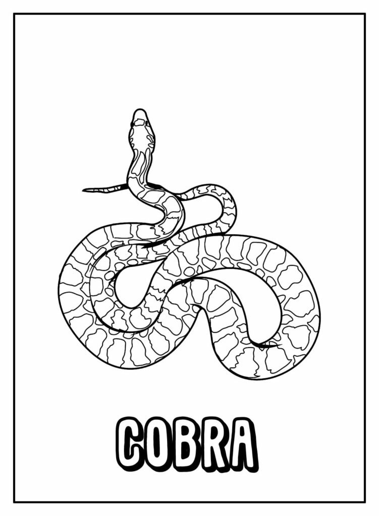 desenhos de cobra para colorir 15 1