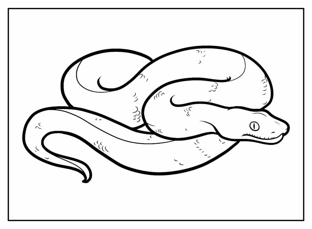 desenhos de cobra para colorir 3 1