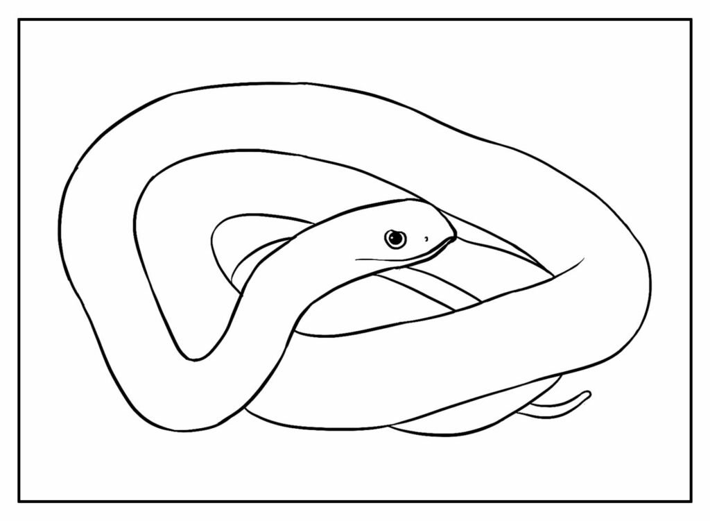 desenhos de cobra para colorir 7 1