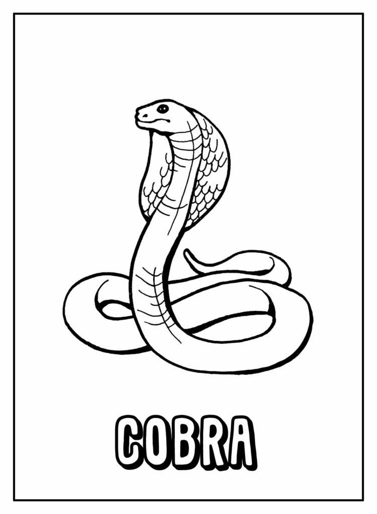 desenhos de cobra para colorir 9 1