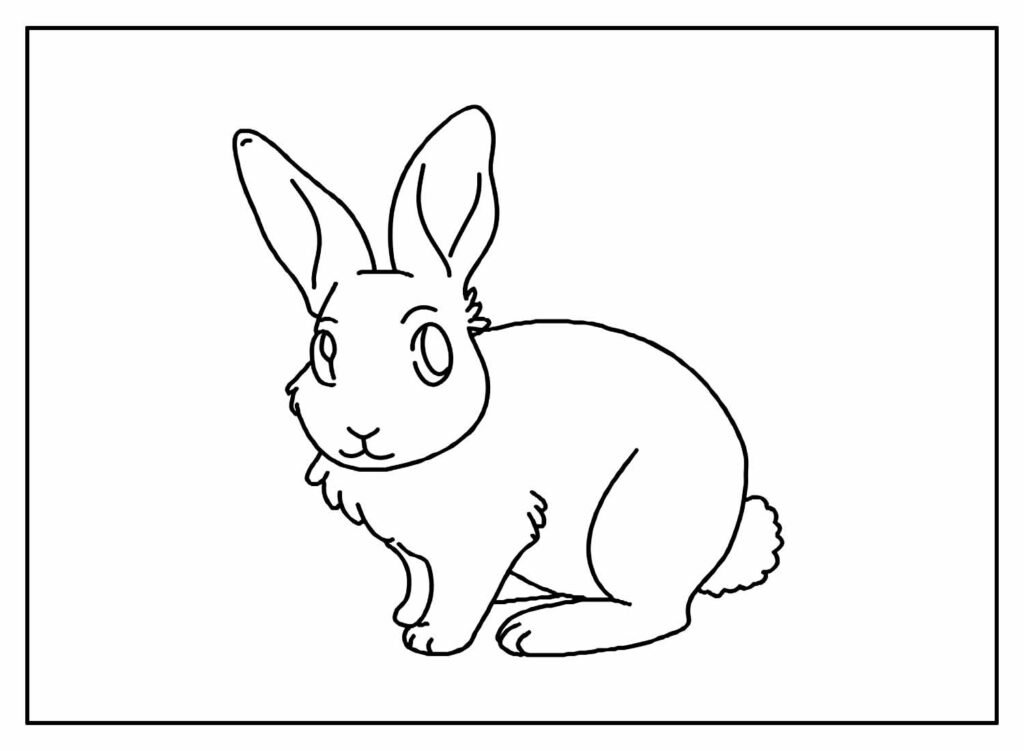 desenhos de coelhinhos de pascoa para colorir 22