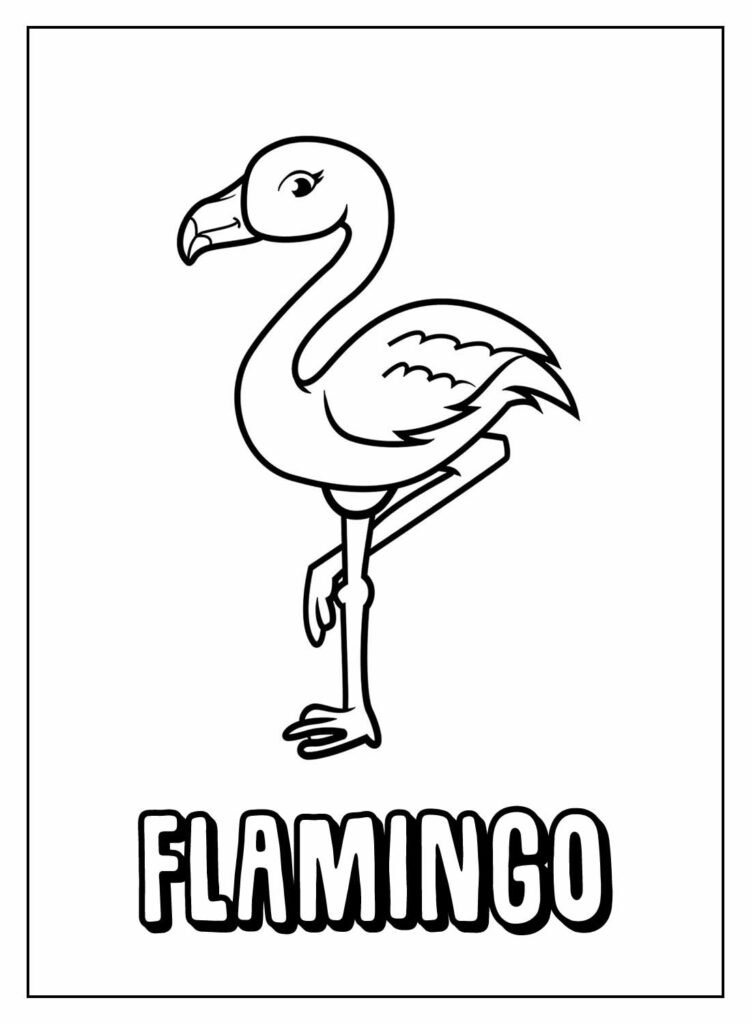 desenhos de flamingo para colorir 30
